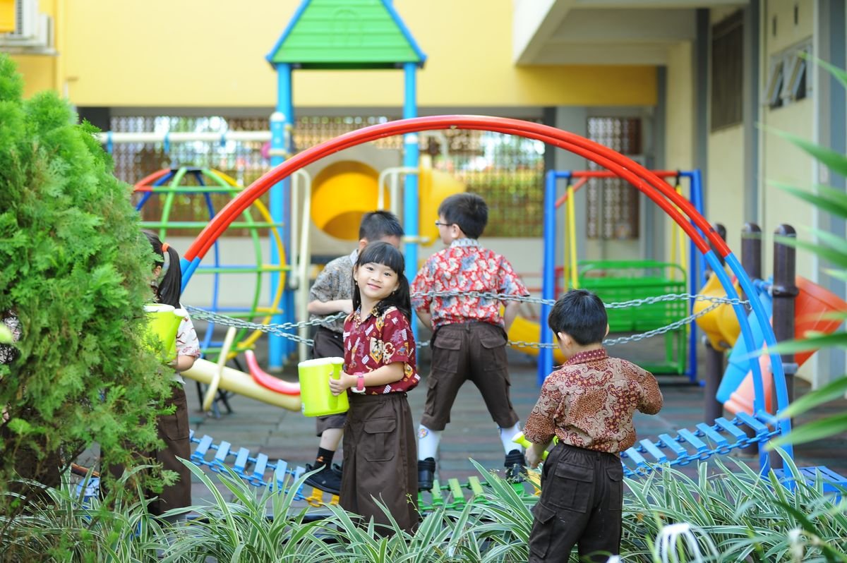 Sr KG activity